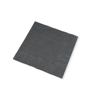 Black Paper Napkins 25cm 2-Ply (2000)